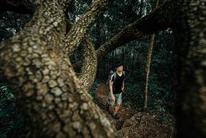 BIB: 
                            <button type="button" onclick="openModal(25699939)" class="btn btn-primary btn-sm float-right btn-popup" data-toggle="modal" data-target=".modal-high-quality">
                        <i class="fas fa-shopping-cart"></i> Add to Cart
                    </button>
                                            <button type="button" onclick="isThisMe(25699939, true)" class="btn btn-success btn-sm float-right btn-popup btn-isme hidden" data-toggle="tooltip" data-placement="bottom" title="นี่คือรูปของคุณใช่ไหม คลิกที่นี่เพื่อเอาเข้าอัลบั้ม">
                        <i class="fas fa-plus"></i> Add to album
                    </button>
                    <button type="button" onclick="isThisMe(25699939, false)" class="btn btn-warning btn-sm float-right btn-popup btn-isnotme hidden">
                        <i class="fas fa-ban"></i> Remove from album
                    </button>